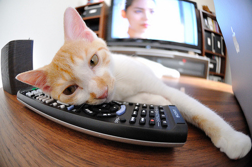 史上最激烈的欧冠“钱塘江大潮”对决,钱塘江 大潮