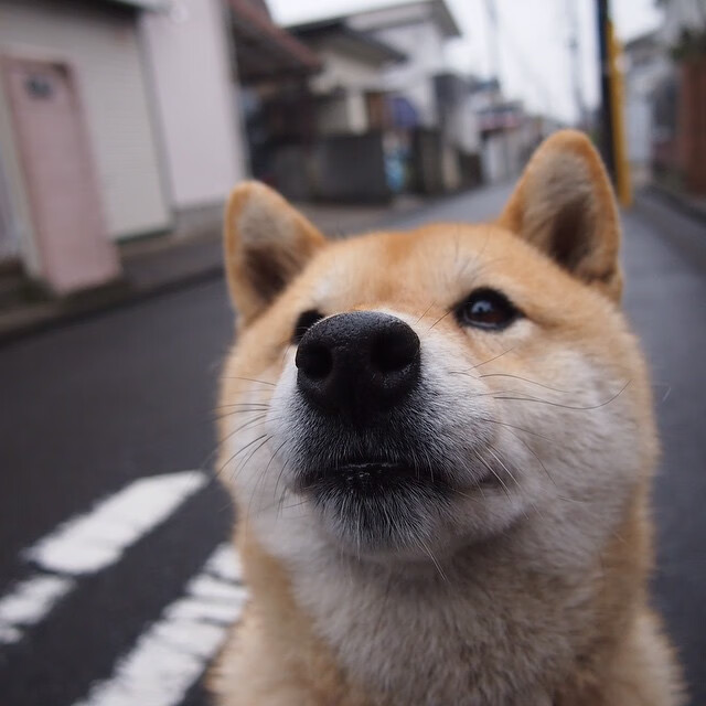 “漂移艺术:弯道中的速度舞者”,漂移舞蹈视频
